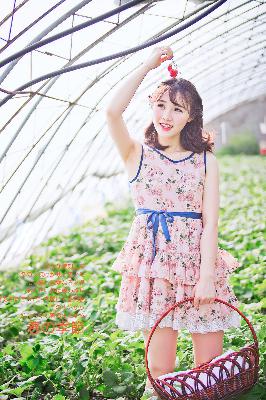 华丽的外出在线观看电视剧免费高清版